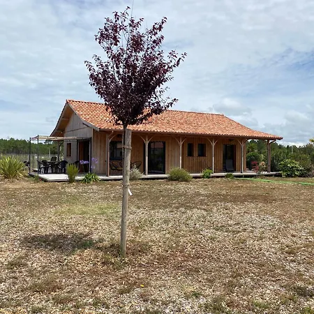 Alizée, Océan, Montalivet *