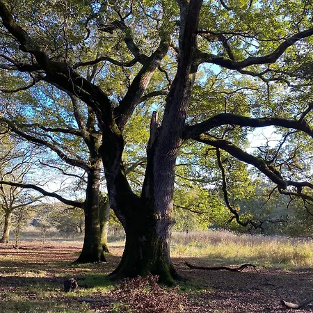 Alizée, Océan, Montalivet Hébergement de vacances
