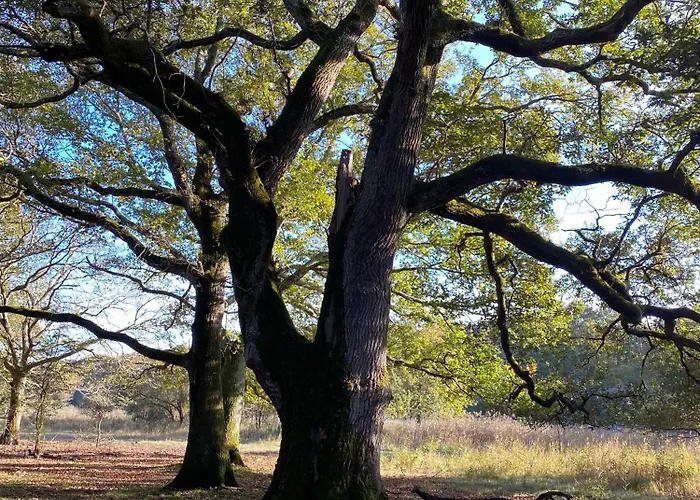 Alizee, Ocean, Montalivet Vakantiehuis